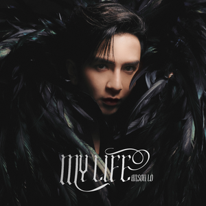 美女隐私秘㊙️18禁视频网站
